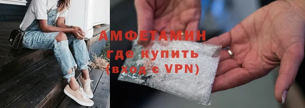 гашик Алексин