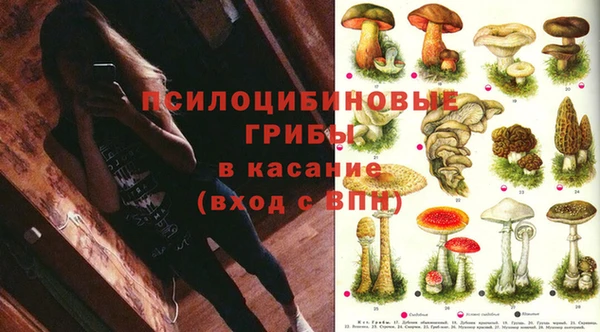 бутират Алзамай
