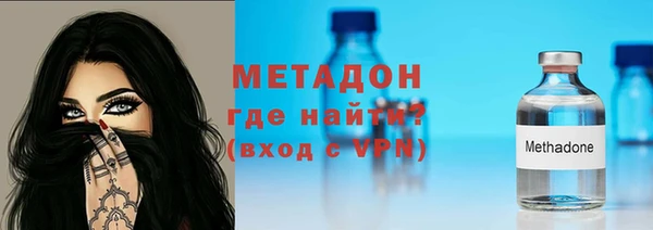 гашик Алексин