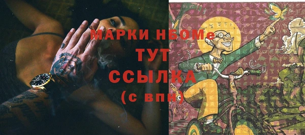 гашик Алексин