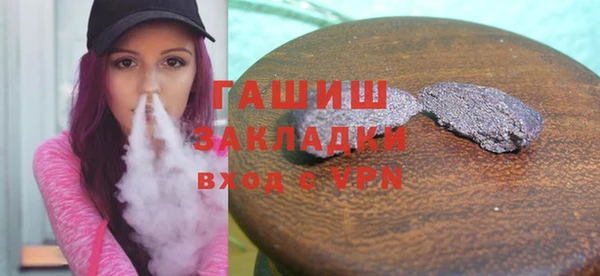 гашик Алексин